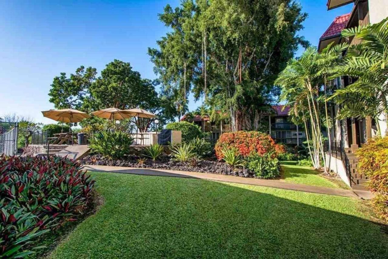 Family Friendly Kailua Bay View Ac Free Parking Walk To Kailua Village Ngoại thất bức ảnh